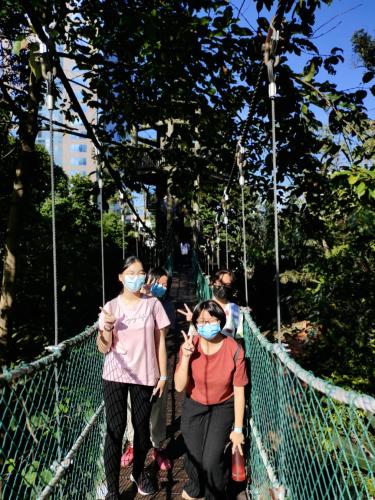 Canopy Walk